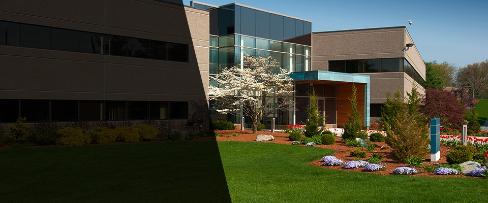 Immaculata Landscapers