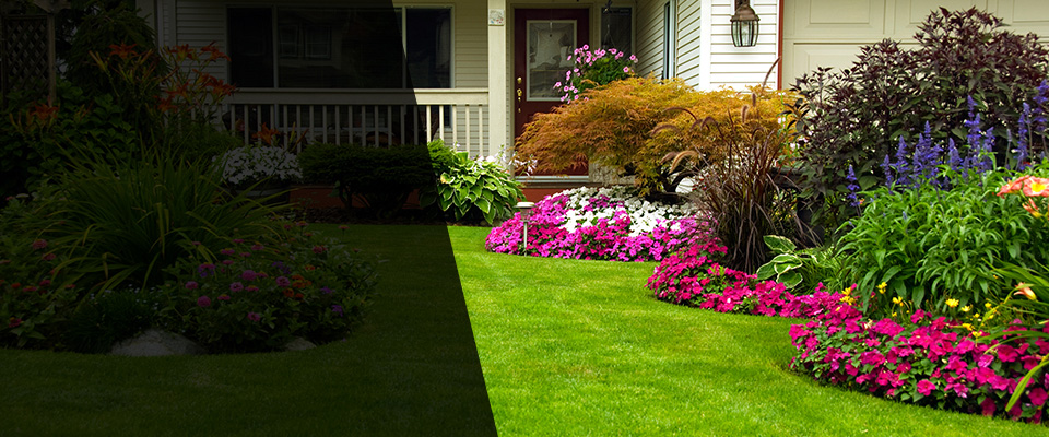 Immaculata Landscapers